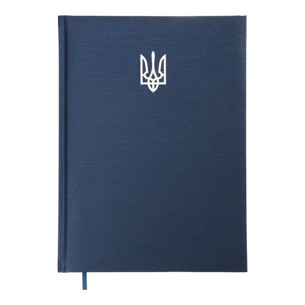 Щоденник POWERFUL А4 на 2026 рік синій