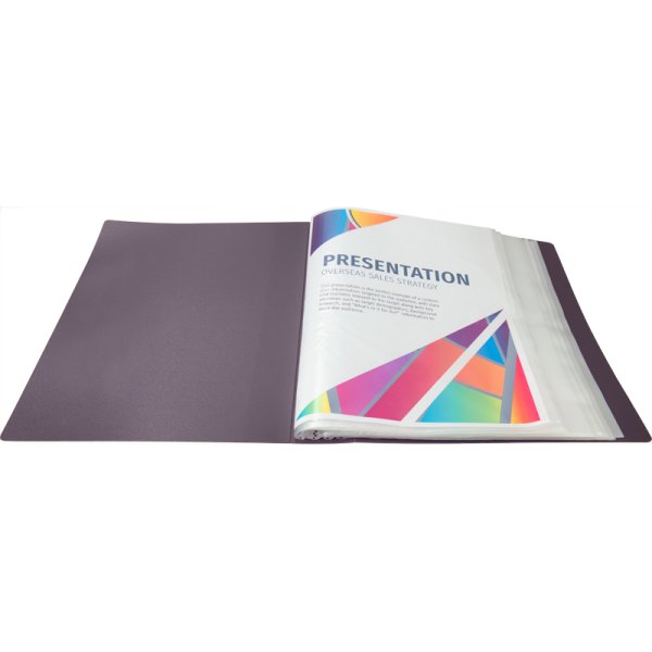 Дисплей-книга на 100 файлов, сливовый