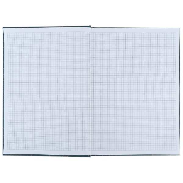 Книга канцелярська А4 Earth colors 96 арк. Curious