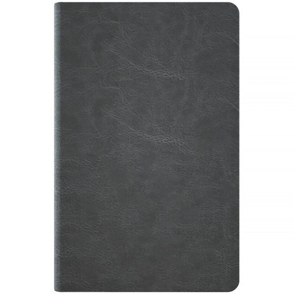 Щотижневик 2026 Axent Partner City Soft 125х195мм, сірий