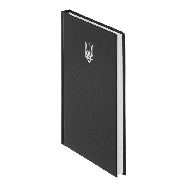 Ежедневник недатированный AIRY, А5, чорний