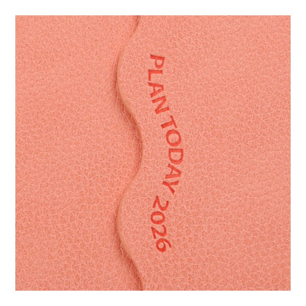 Щоденник CHARME А5 на 2026 рік лососевий