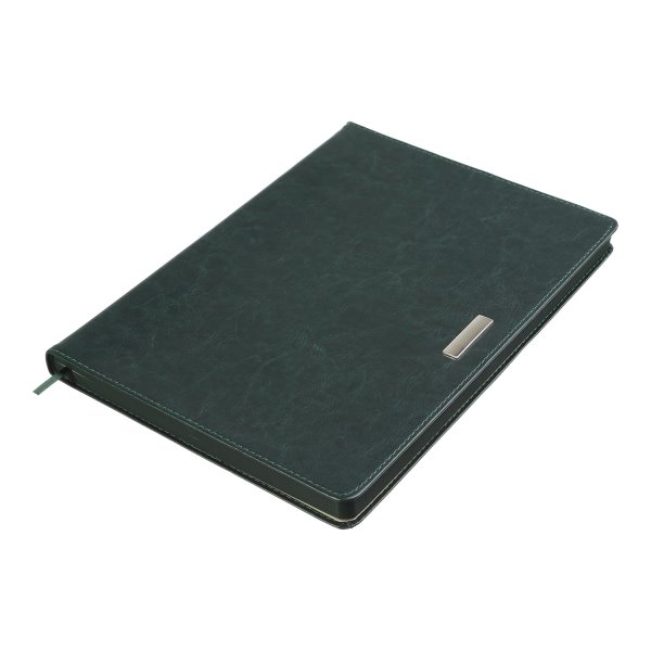 Щоденник SALERNO А4 на 2026 рік зелений