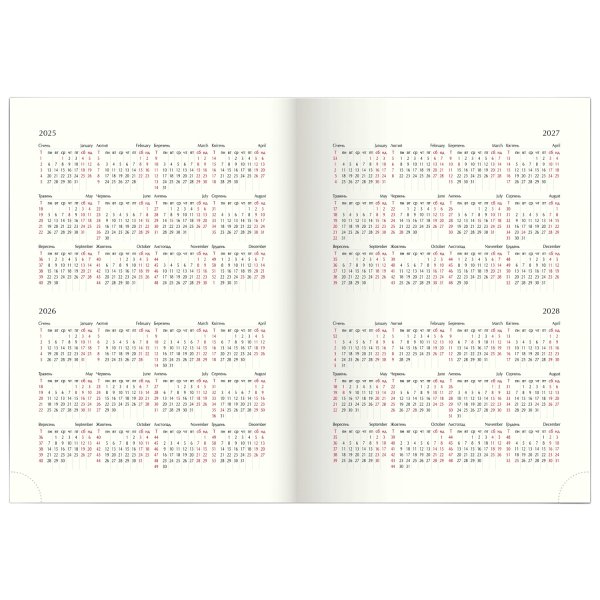 Щоденник CLASSIC А5 на 2026 рік білий