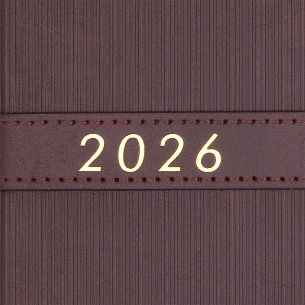 Ежедневник LEROY А5 на 2026 год коричневый