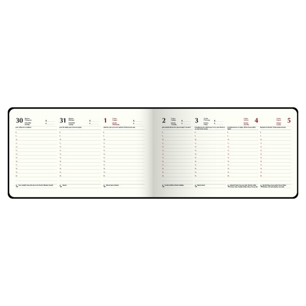 Щотижневик кишеньковий на 2026 рік, 153х87мм, VELOUR світло-сірий