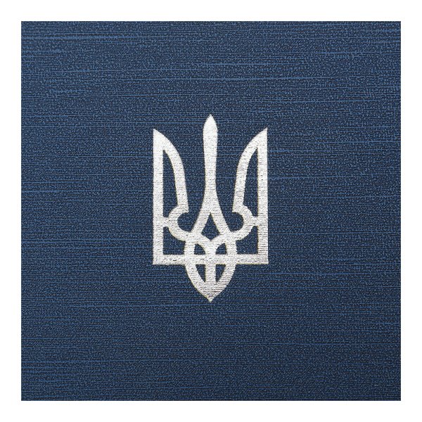 Щоденник POWERFUL А4 на 2026 рік синій