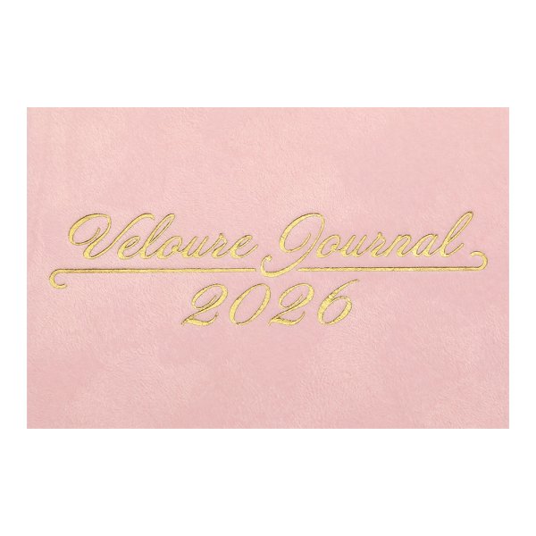 Щоденник VELOUR А6 на 2026 рік рожевий