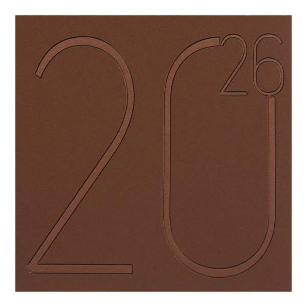 Щоденник STEEL А6 на 2026 рік бронза
