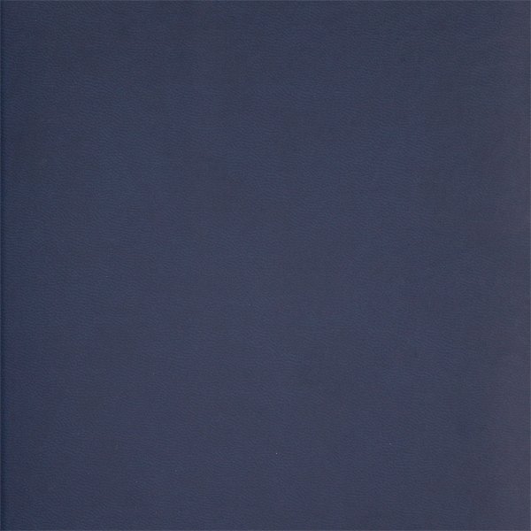 Ежедневник А5 недатированный GENTLE синий