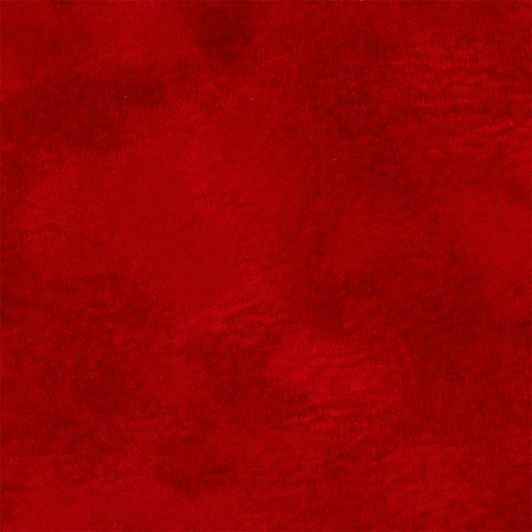 Щоденник А5 недатований VELOUR червоний
