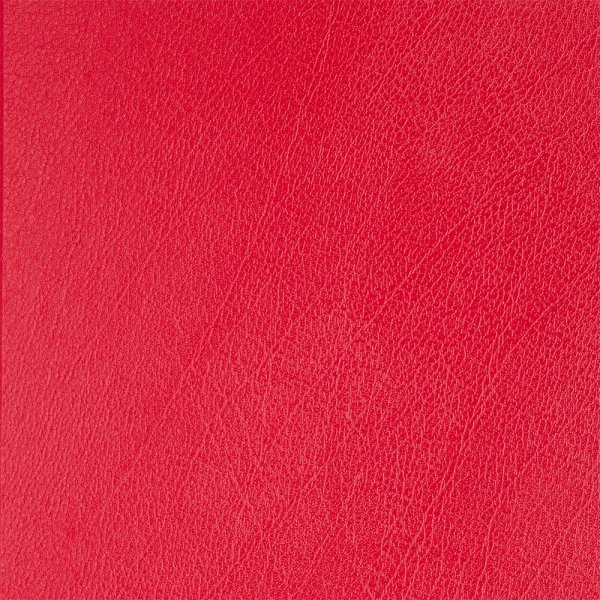 Ежедневник А5 недатированный STRONG красный