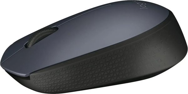Миша бездротова LOGITECH Wireless Mouse M170
