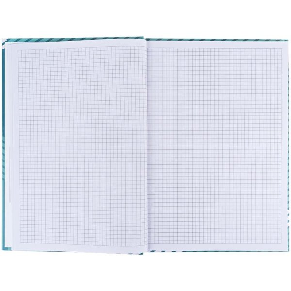 Книга канцелярская А4 96л, Axent Lines зеленый