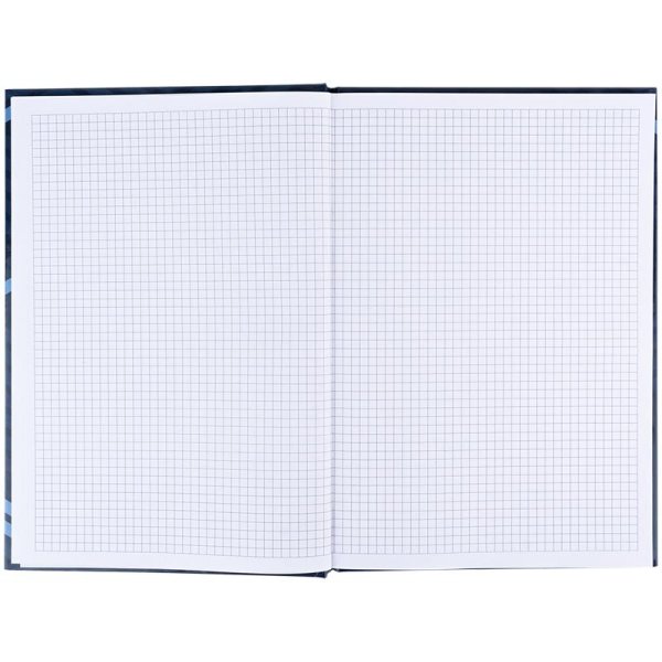 Книга канцелярская А4 96л, Axent Lines синий