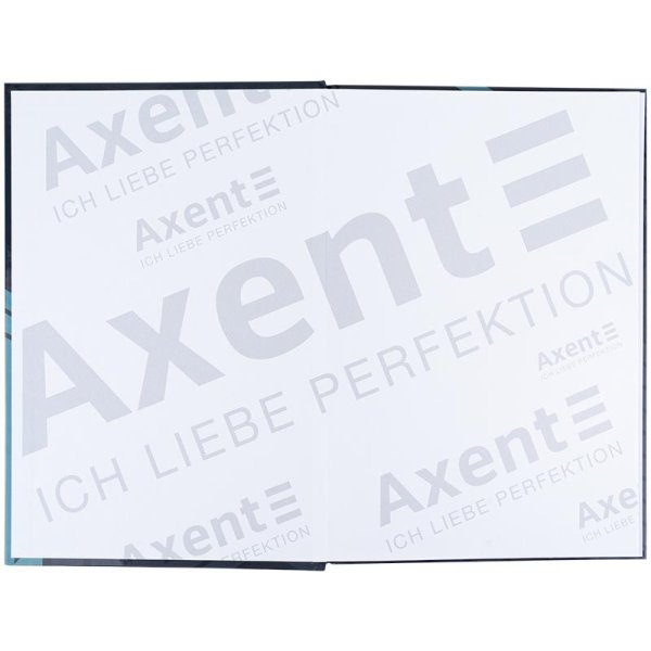 Книга канцелярская А4 96л, Axent Lines серый