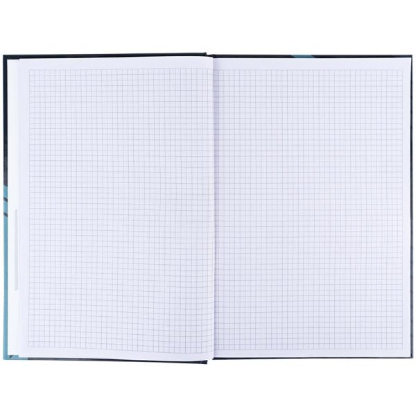Книга канцелярская А4 96л, Axent Lines серый