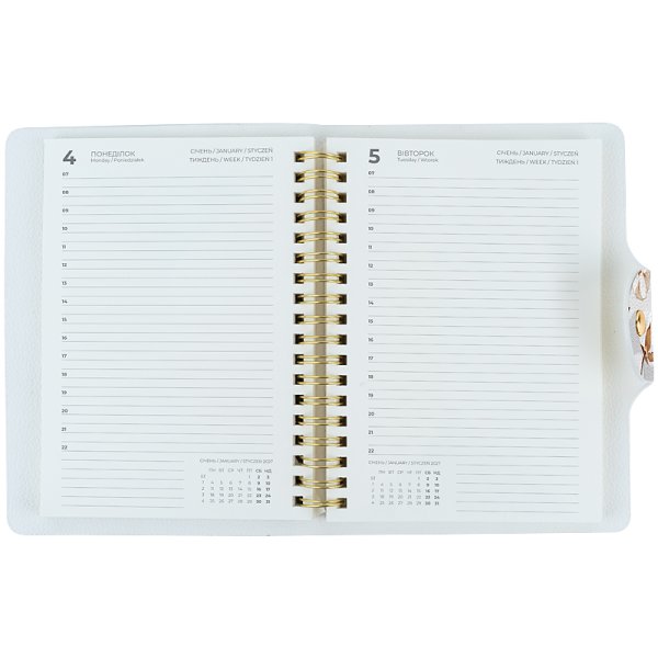 Щоденник на спіралі 2027 Axent Pocket 145x210мм, Silky smooth